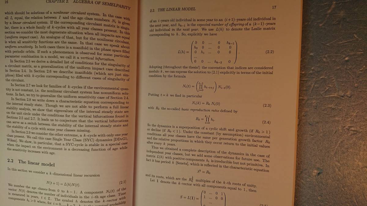 英語(数学学位論文)「Old and Young. Can they coexist老若.両者は共存できるのか」Natalia davydova著