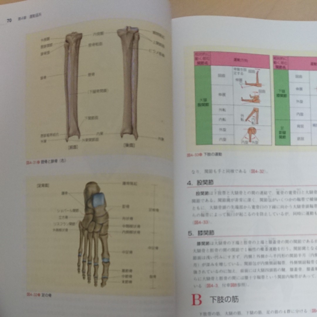 看護学入門 人体のしくみと働き