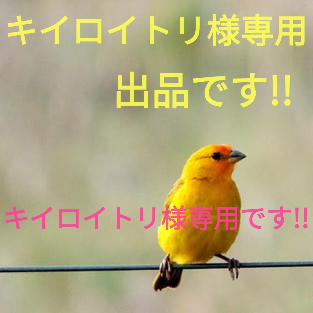 きいろいとり様専用 120のみ-