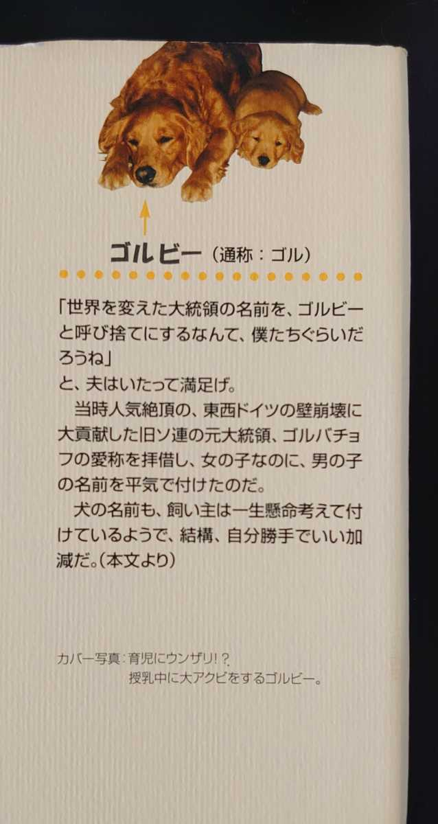 ゴルビーのお産★鳥取絹子★青山出版社★ハードカバー★いぬ_画像4