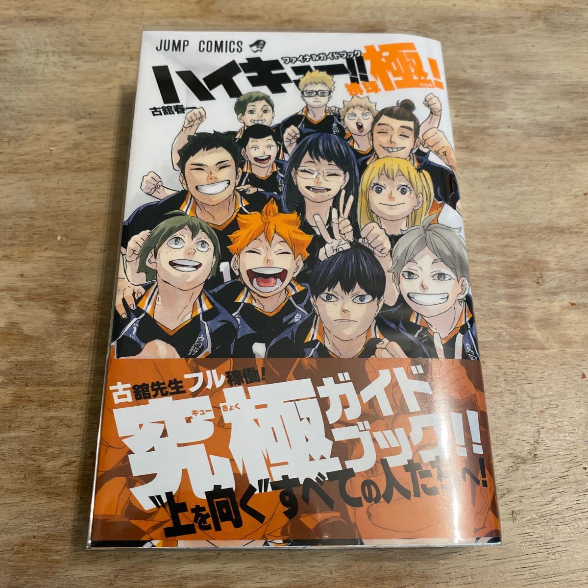 ハイキュー ファイナルガイドブック 排球極 (書籍) [集英社 ハイキュー ファイナルガイドブック 排球極 (書籍) [集英社