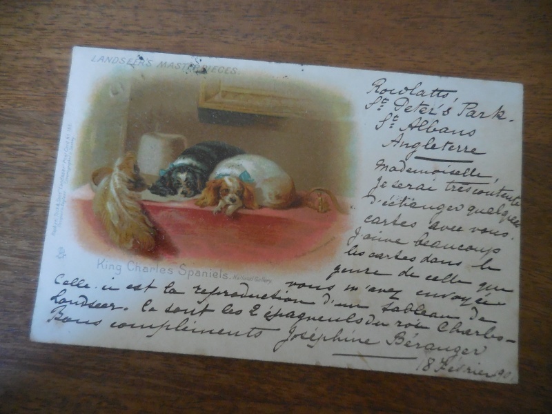 フランス☆【アンティークポストカード LANDSEER'S MASTERRICES. 】 1901年 アンティーク ポストカード キャバリア いぬ 犬 イヌ　_画像2