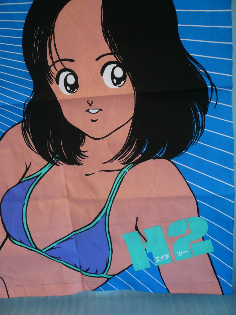 ○「H2 雨宮ひかり、古賀春華」エイチツーイラストタペストリー