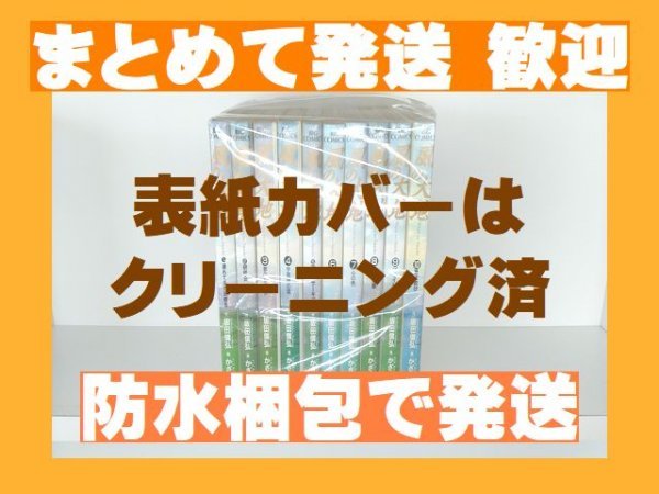 【即決】 風の大地 かざま鋭二 [1-30巻 30冊セット] 【風の大地 分売セット】