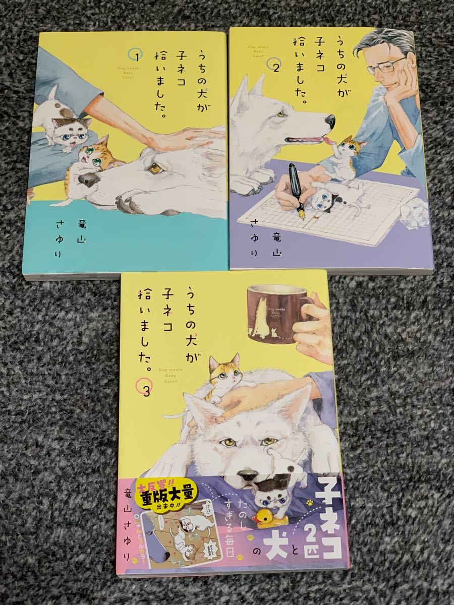 Paypayフリマ うちの犬が子ネコ拾いました1 2 3巻セット Paypayフリマ うちの犬が子ネコ拾いました1 2 3巻セット