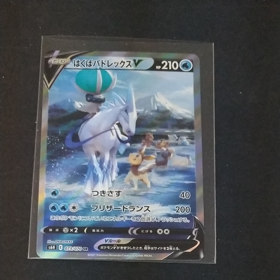 ポケモンカード 白銀のランス S6H SR スペシャルアート はくば ポケモンカード 白銀のランス S6H SR スペシャルアート はくば