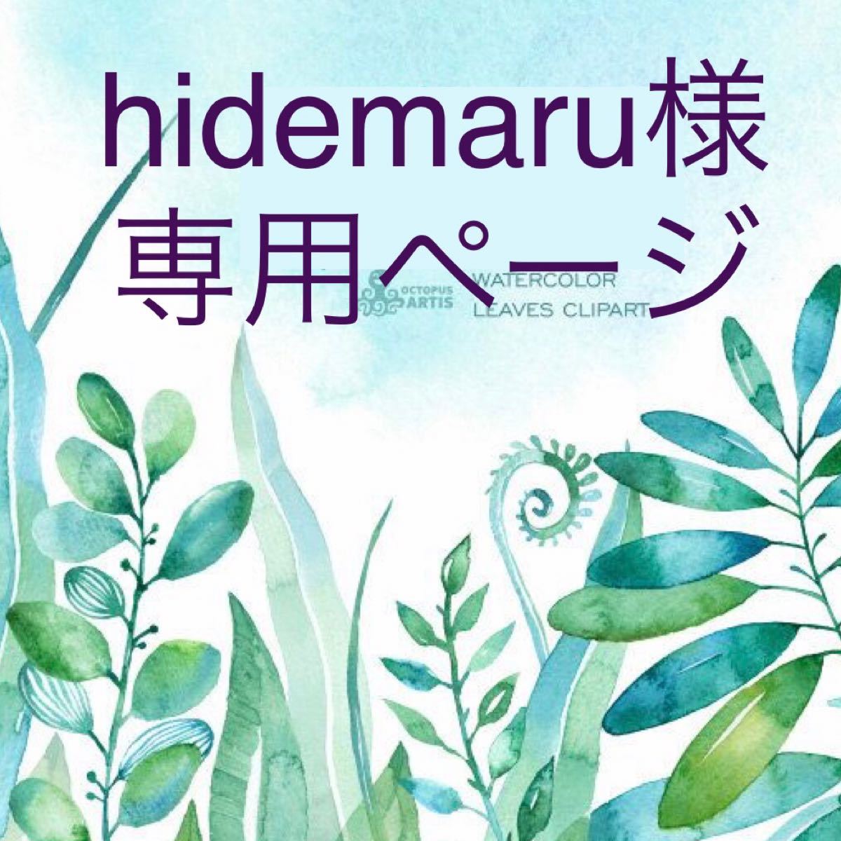 hidemaru様専用ページ
