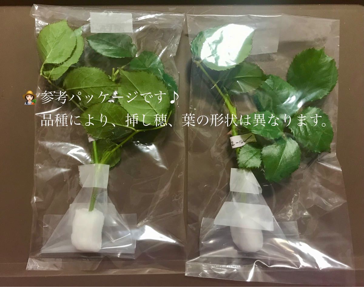 hidemaru様専用ページ