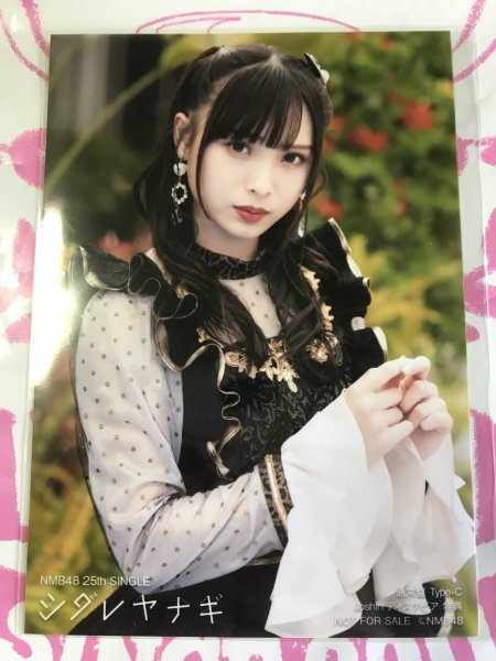  слива гора . мир life photograph sidareyanagi сверху новый электро- машина покупка привилегия NMB48 монета с футляром 