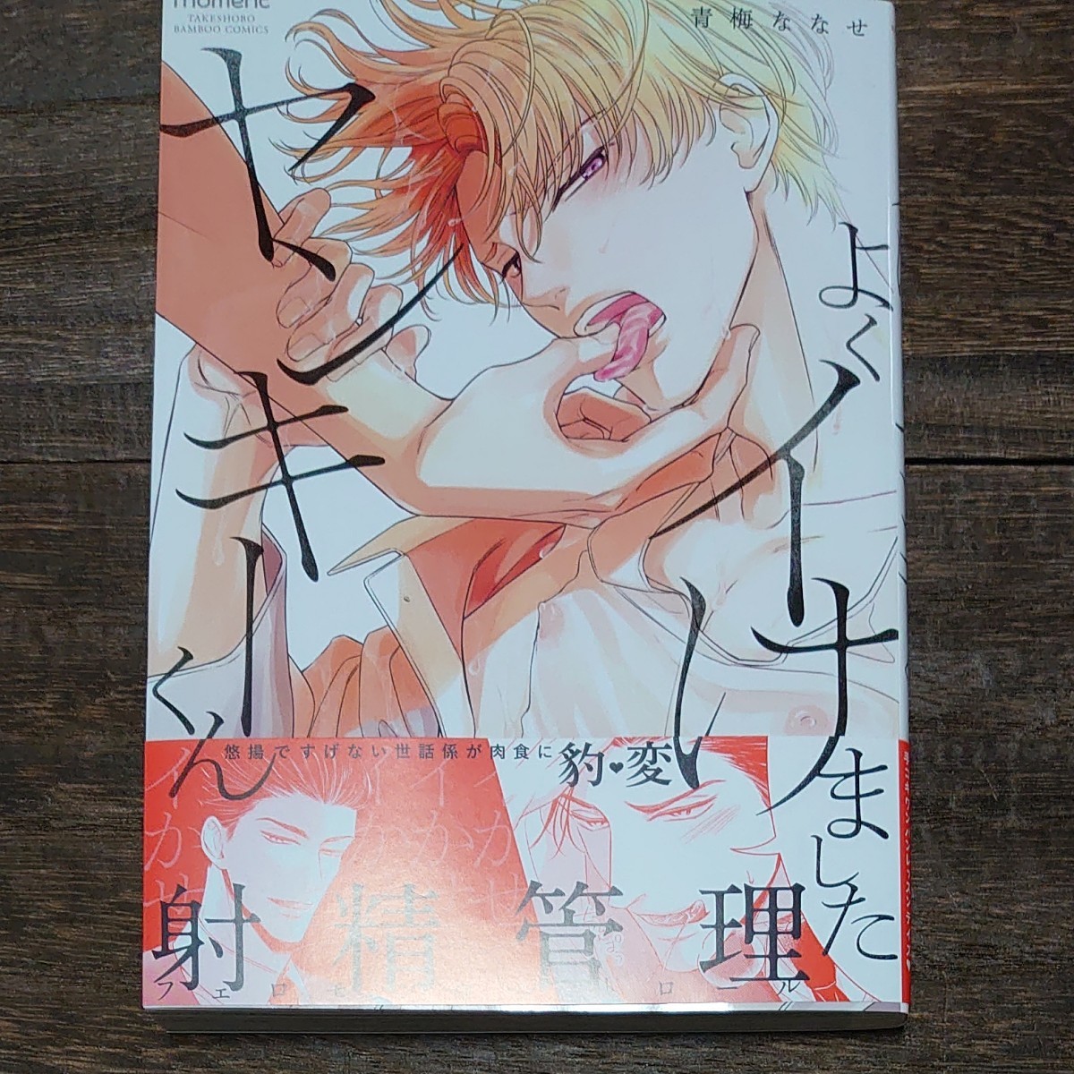 Paypayフリマ Bl新刊4冊 青梅ななせ 二戸謙介 Mame March 市松団子 Paypayフリマ Bl新刊4冊 青梅ななせ 二戸謙介 Mame March 市松団子