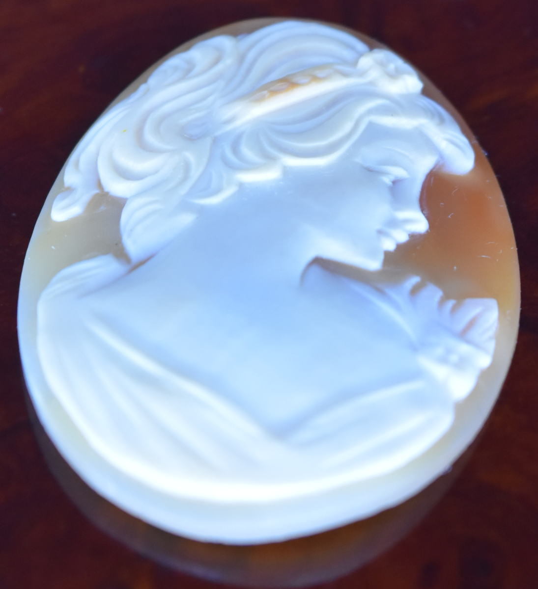 【威龍彩雲】カメオ 貴婦人 浮き彫り CAMEO 新品 宝石 超希少 超高級ストーン ジュエリー jewelry おしゃれ レディース ネックレス FT087_画像2