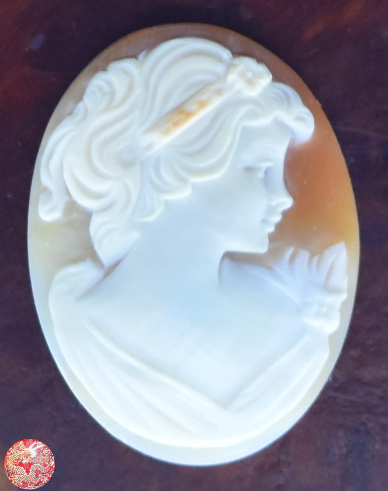 【威龍彩雲】カメオ 貴婦人 浮き彫り CAMEO 新品 宝石 超希少 超高級ストーン ジュエリー jewelry おしゃれ レディース ネックレス FT087_画像1