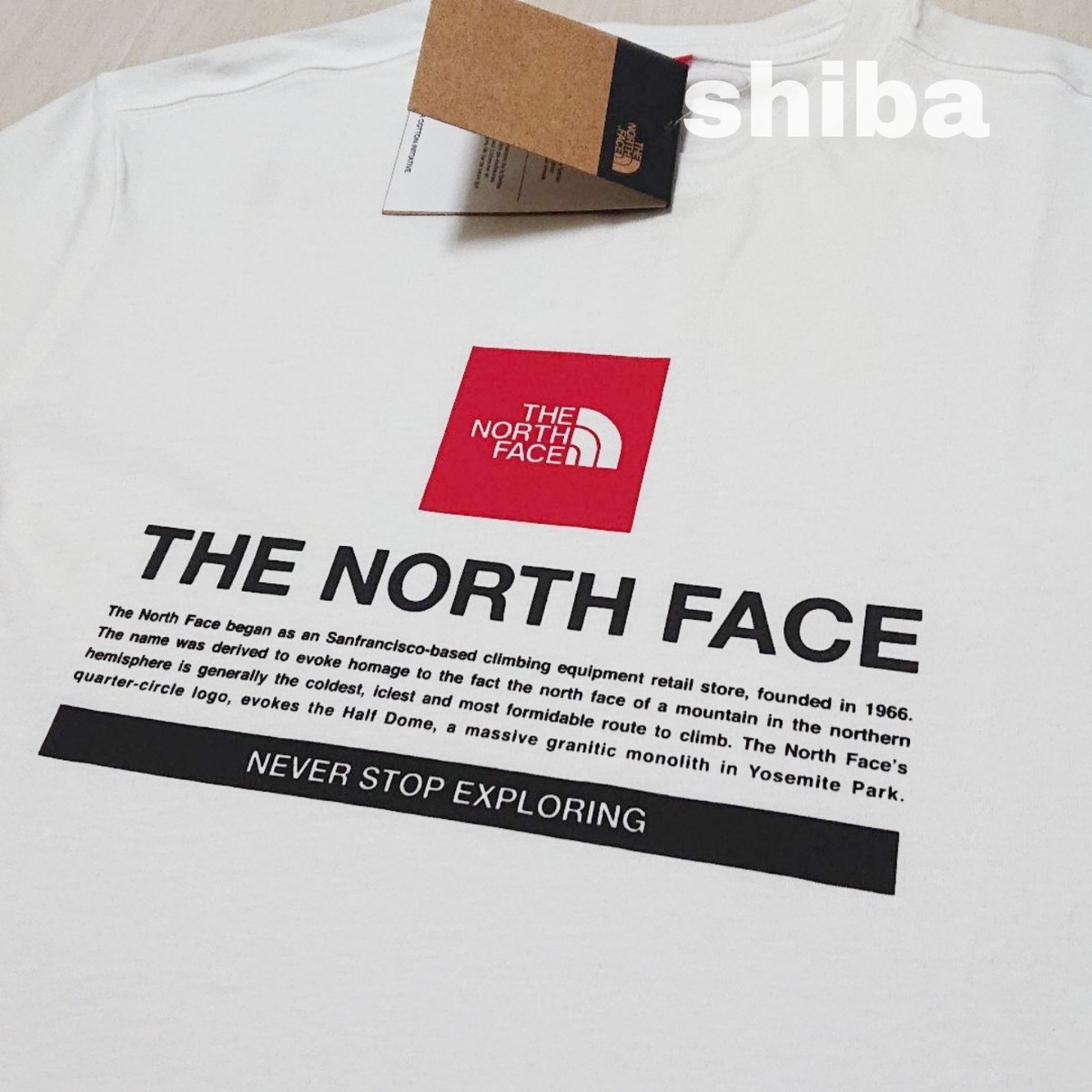 THE NORTH FACE ノースフェイス　tシャツ　半袖　ボックスロゴ　Notes tee　海外Sサイズ