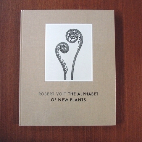 【感謝価格】 ロバート・ヴォイト 写真集■美術手帖 Voit Robert Plants New of Alphabet The magazine aperture Blossfeldt Karl 植物 芸術新潮 アート写真 【感謝価格】 ロバート・ヴォイト 写真集■美術手帖 Voit Robert Plants New of Alphabet The magazine aperture Blossfeldt Karl 植物 芸術新潮 アート写真