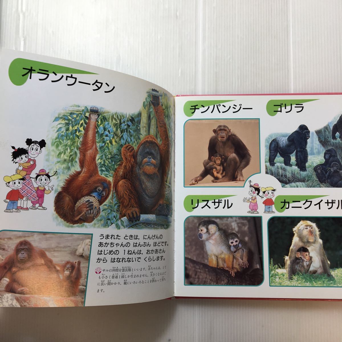 zaa-184♪どうぶつのあかちゃんずかん1998年学研プチカ12号ねんがじょうづくり　くるくるスタンプ　たのしいしぜんじっけんシリーズ