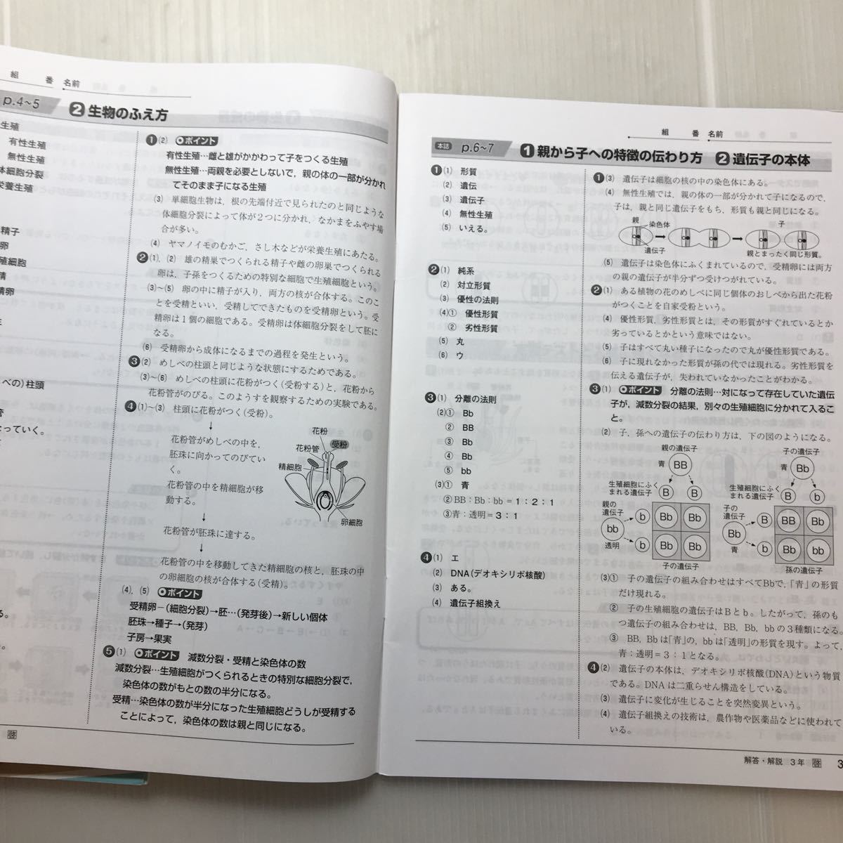 zaa-185♪理科の自主学習 中3 中学3年生(教科書参考ワーク)解答・解答書付　啓林館版　新学社