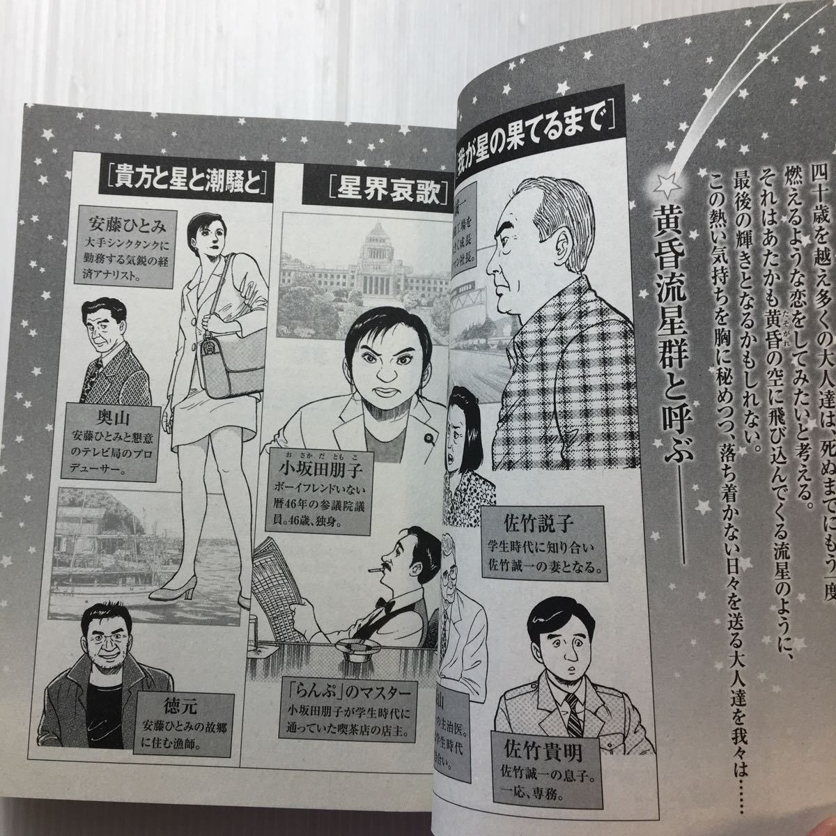 黄昏流星群 ３６冊