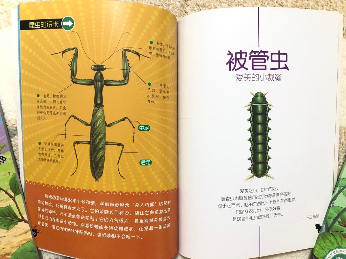 【中国語絵本】ファーブル昆虫記10冊セット ピンイン付き ★期間限定セール価格!7/11まで!★