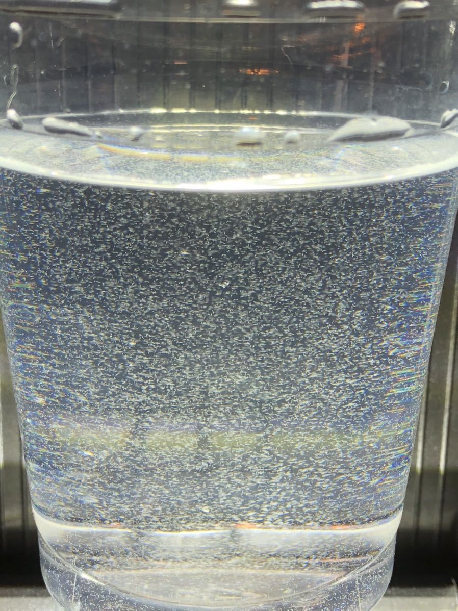 ●送料無料・匿名配送・即日発送● ゾウリムシ 400ml【めだか 針子・稚魚 金魚 シュリンプ 熱帯魚】活餌_画像4