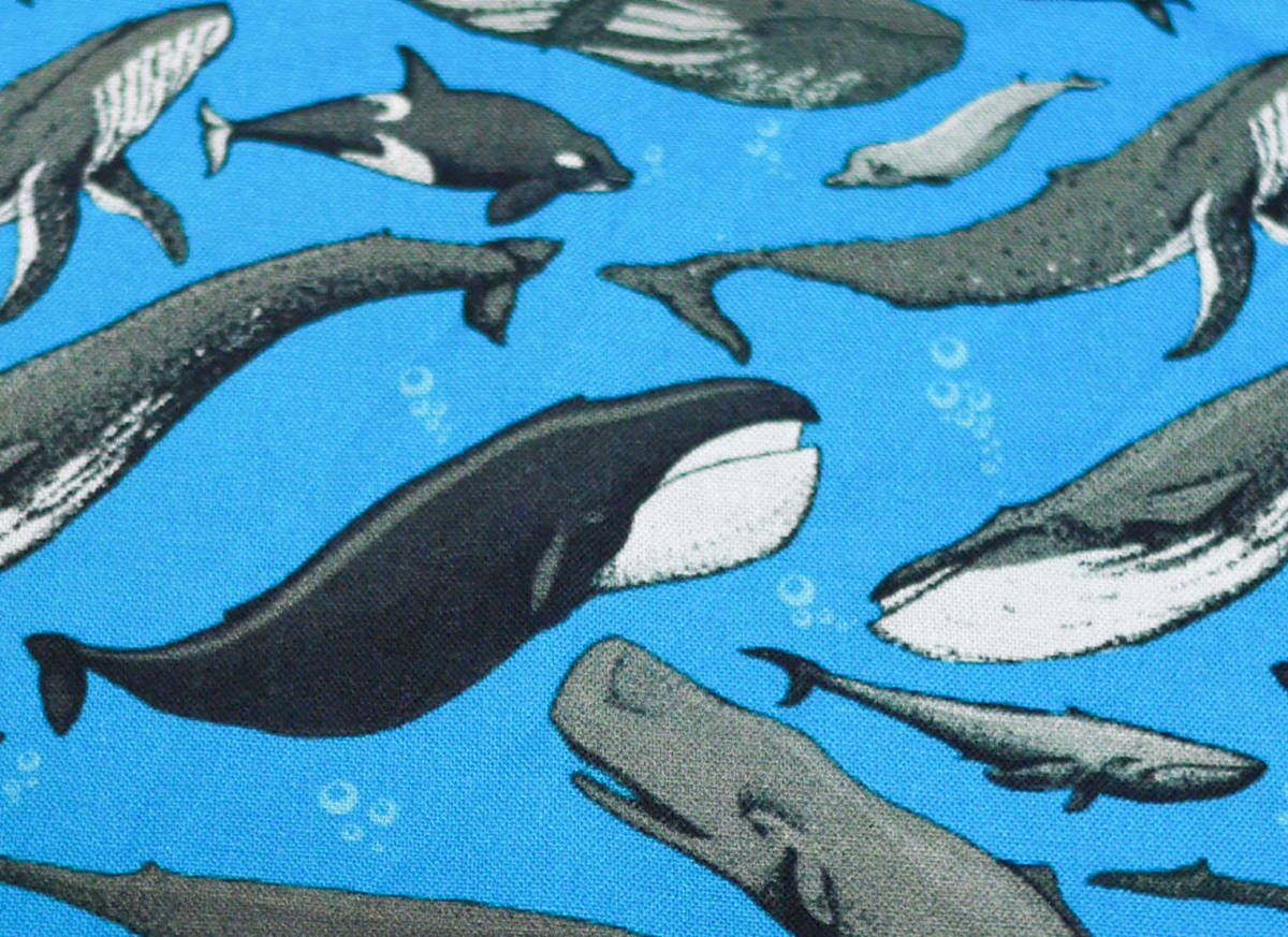 プリント生地　クジラ　鯨　90×53　USAコットン　アメリカ　ブルー　ｓ_画像4