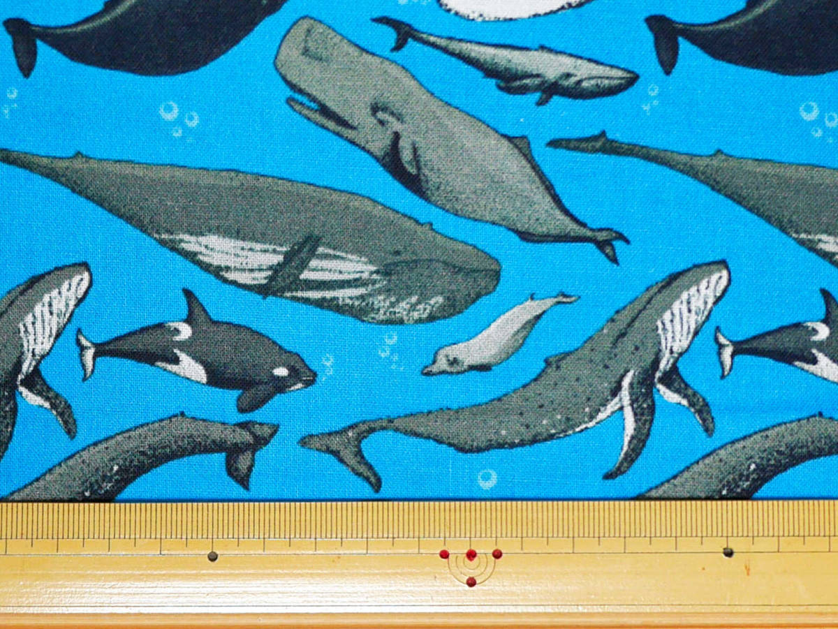 プリント生地　クジラ　鯨　90×53　USAコットン　アメリカ　ブルー　ｓ_画像6