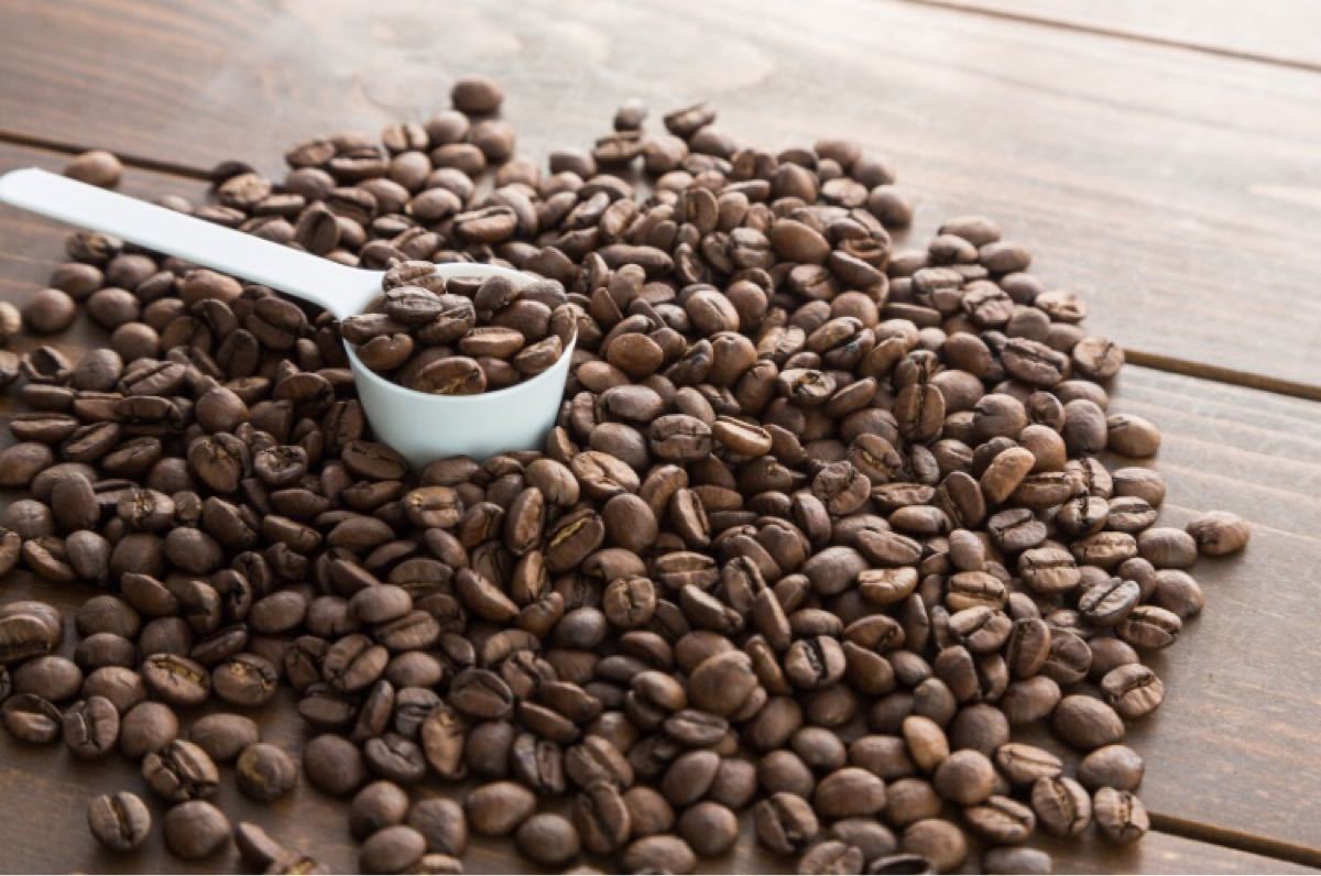 《注文後焙煎》コーヒー豆3種 飲み比べCセット300g(3×100g)※即購入可