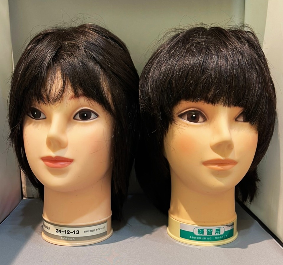 ヘアマネキンの値段と価格推移は 26件の売買情報を集計したヘアマネキンの価格や価値の推移データを公開 ヘアマネキンの値段と価格推移は 26件の売買情報を集計したヘアマネキンの価格や価値の推移データを公開