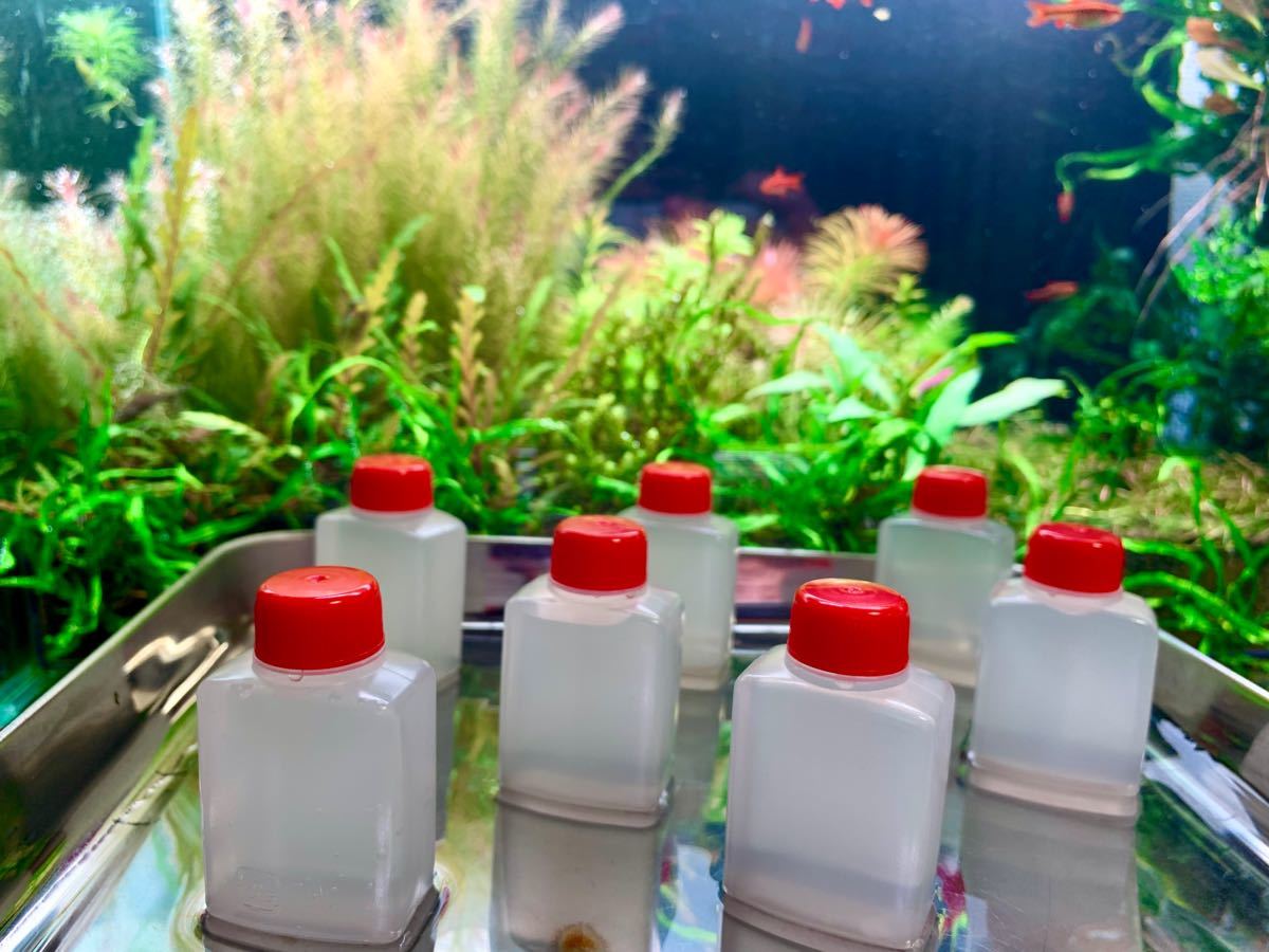 水草 液肥 水草 液肥