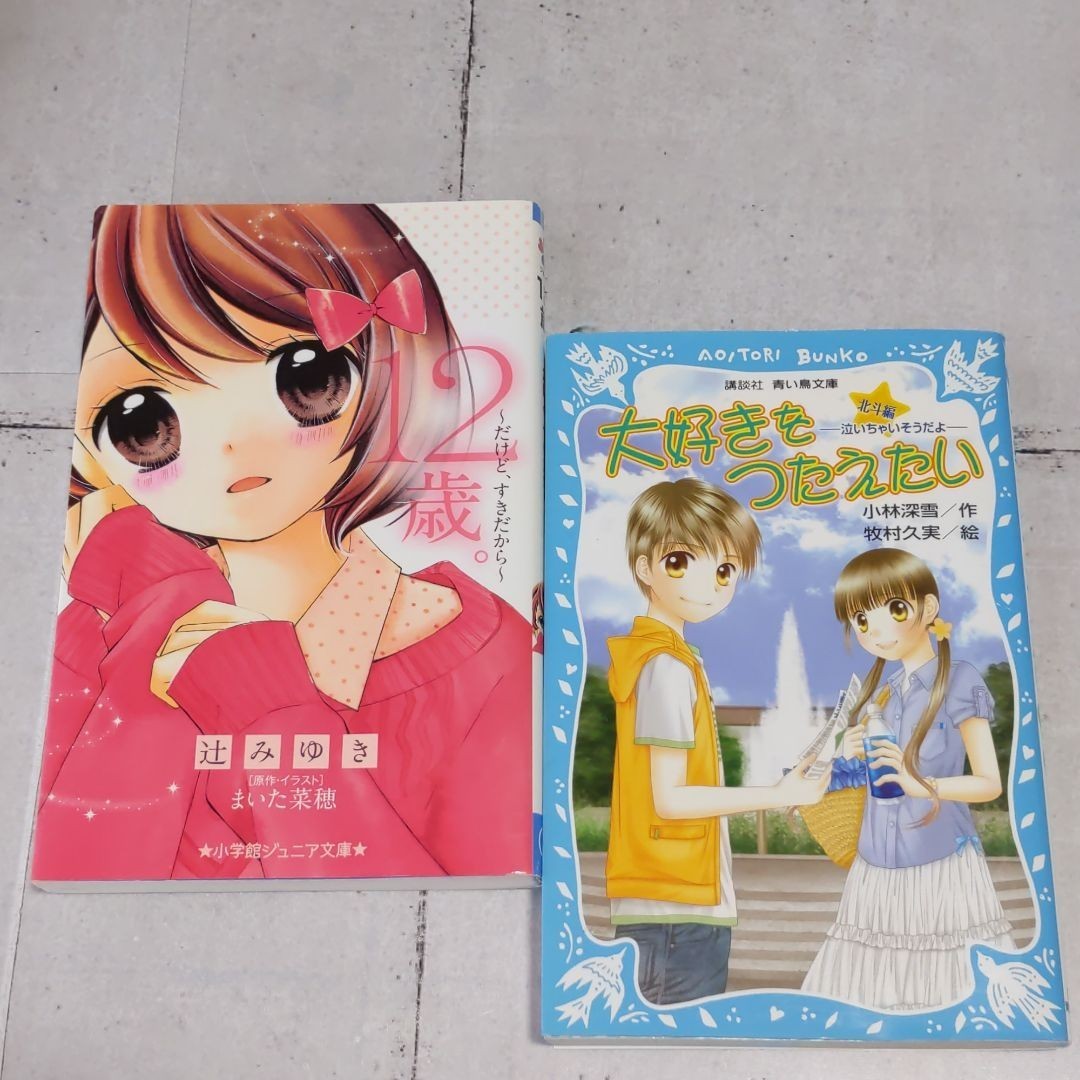 Paypayフリマ 12歳 だけど すきだから 大好きをつたえたい 小学生 小説 Paypayフリマ 12歳 だけど すきだから 大好きをつたえたい 小学生 小説