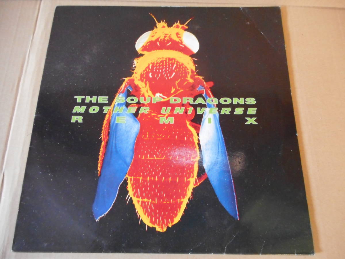 [ man che 12inch]the soup dragons / Mother Universe soup Dragons record 