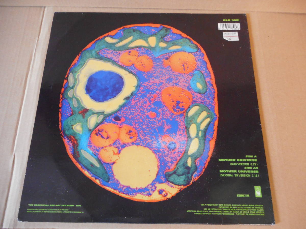 [ man che 12inch]the soup dragons / Mother Universe soup Dragons record 