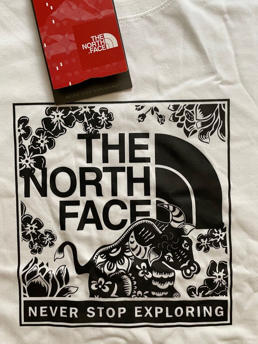 【THE NORTH FACE】ザノースフェイス　スクエアロゴＴシャツ