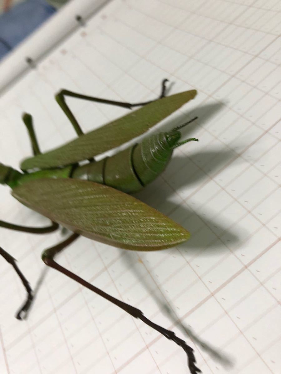 Paypayフリマ リアル カマキリ 生きてるみたいにリアルです