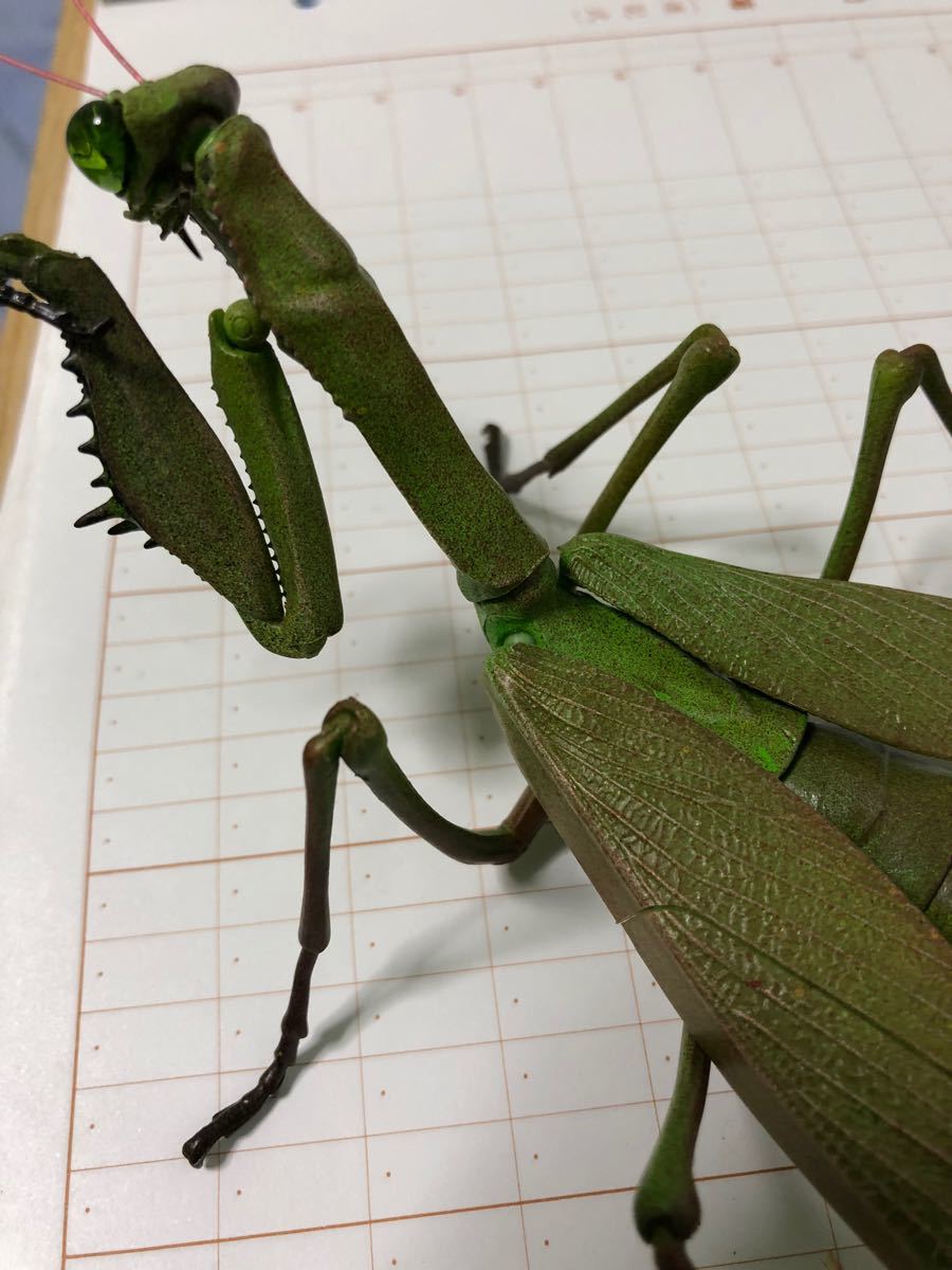 Paypayフリマ リアル カマキリ 生きてるみたいにリアルです