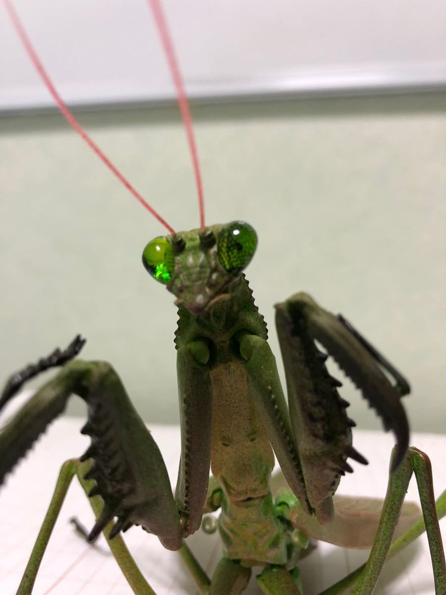 Paypayフリマ リアル カマキリ 生きてるみたいにリアルです Paypayフリマ リアル カマキリ 生きてるみたいにリアルです