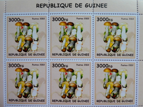 ギニア切手『きのこ』6枚シート 2002 A-e_画像1
