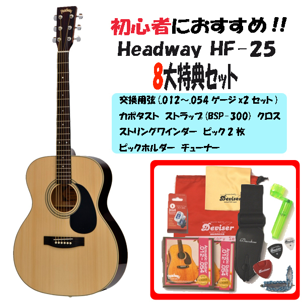 限定特価 Headway(ヘッドウェイ) / HF-25 NA アコースティックギター