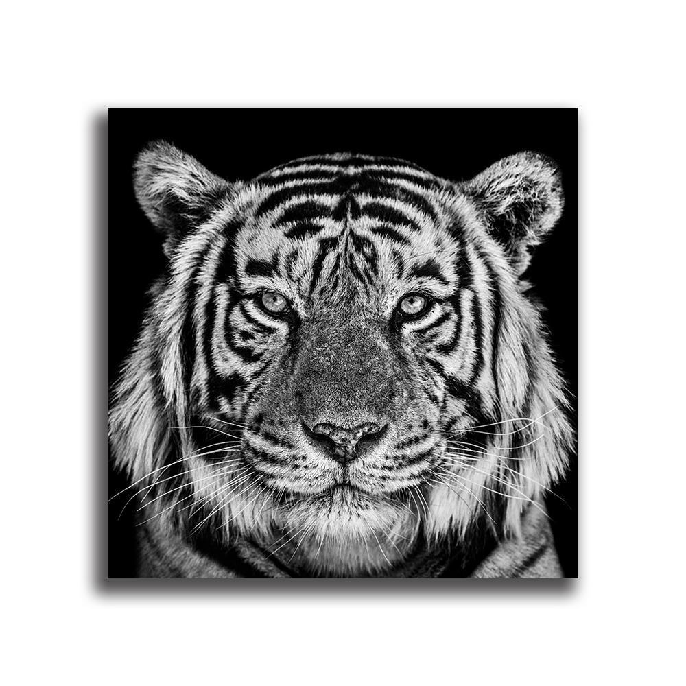虎 タイガー 特大 ポスター 約100x100cm トラ とら 動物 自然 Tiger 海外 インテリア グッズ 絵 雑貨 写真 フォト アート 大判 大 3_画像3