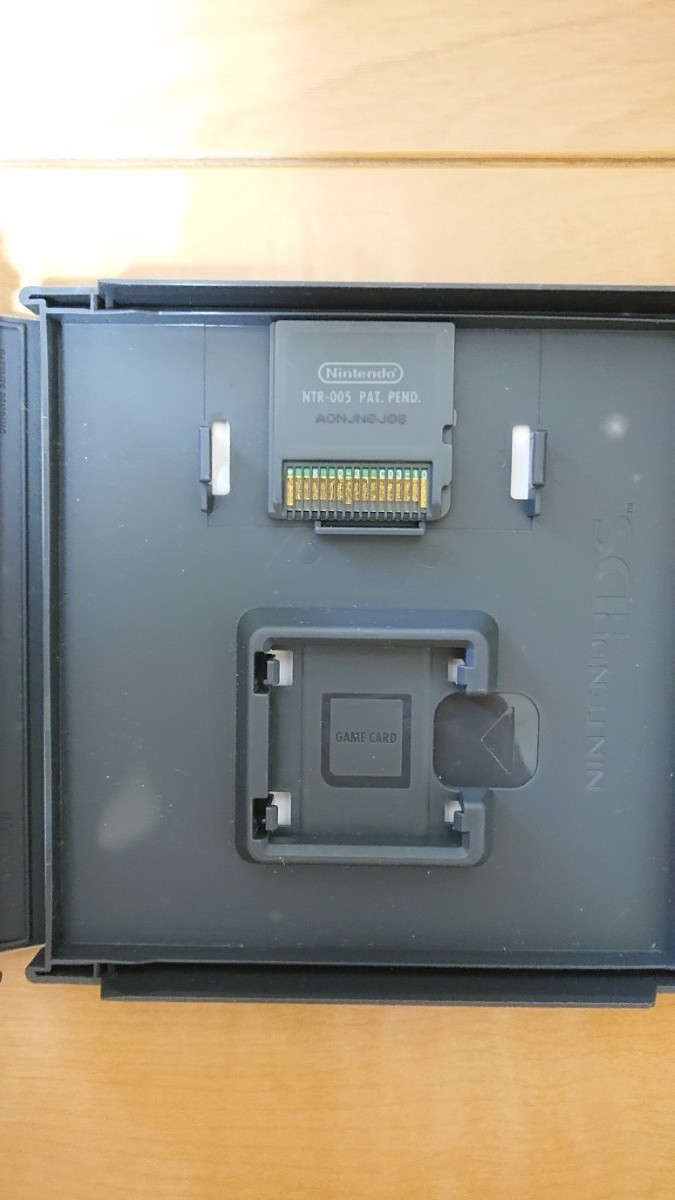 大人の塗り絵 DS ニンテンドーDS DSソフト 任天堂