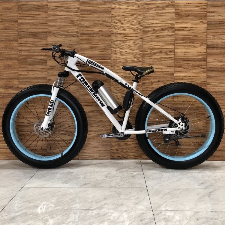 高級電動自転車 電動 ファットバイク ビーチクルーザー 自転車 ロード