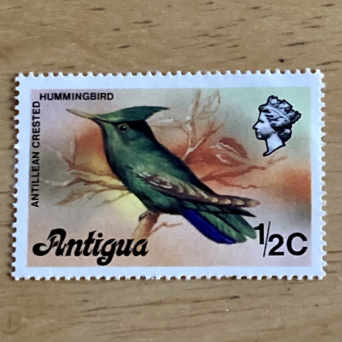 切手 ☆ 海外切手 ☆ stamp ☆ ANTIGUA ☆ アンティグア ☆ カリブ海 ☆ 鳥 ☆ 1/2c ☆ 中古品 ☆ 未使用だと思います ☆ 詳細不明 ☆_画像1