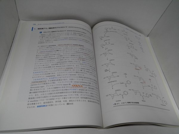 パートナー天然物化学 改訂第3版 海老塚豊ほか/南江堂【即決】_画像5