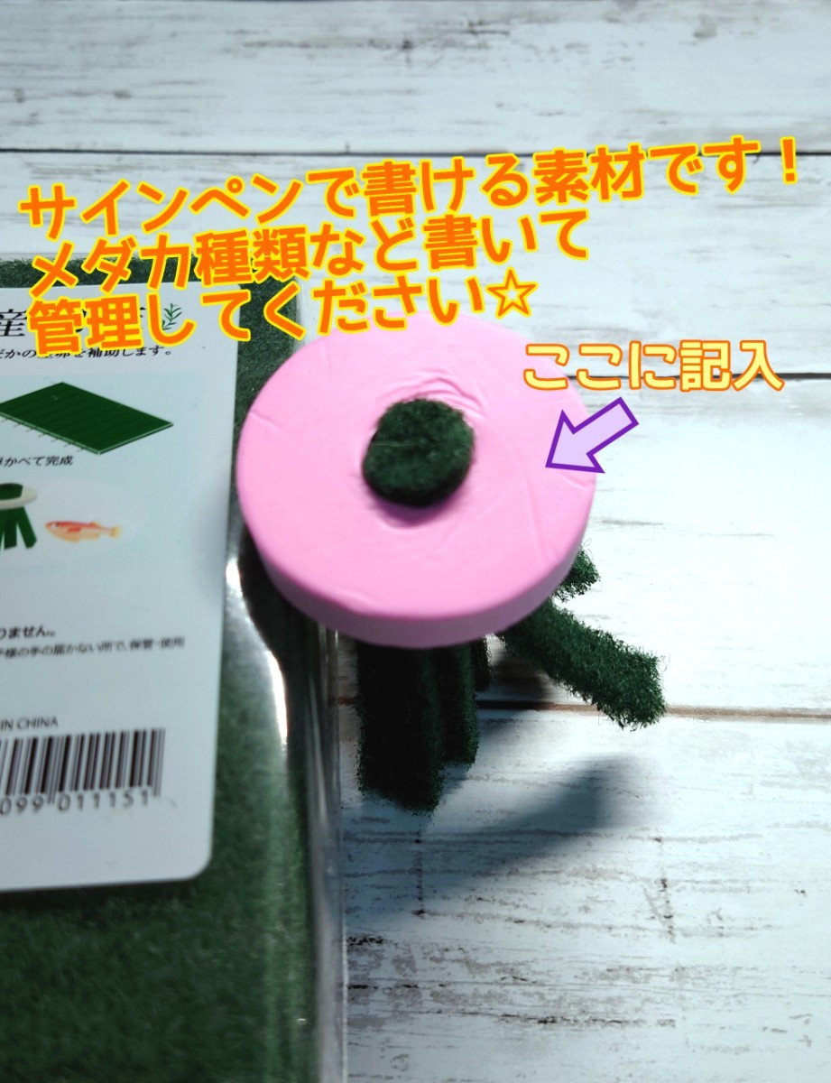 Paypayフリマ メダカ めだか 産卵床 簡単自作キット 12セット 爆産卵確実です Paypayフリマ メダカ めだか 産卵床 簡単自作キット 12セット 爆産卵確実です
