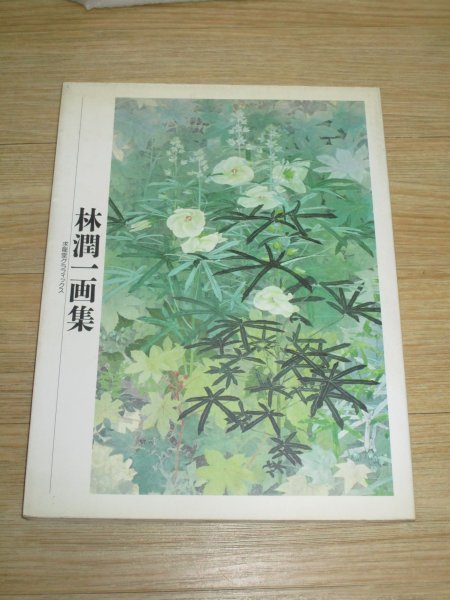 Yahoo!オークション - 画集□林潤一画集 求龍堂グラフィックス/1990年