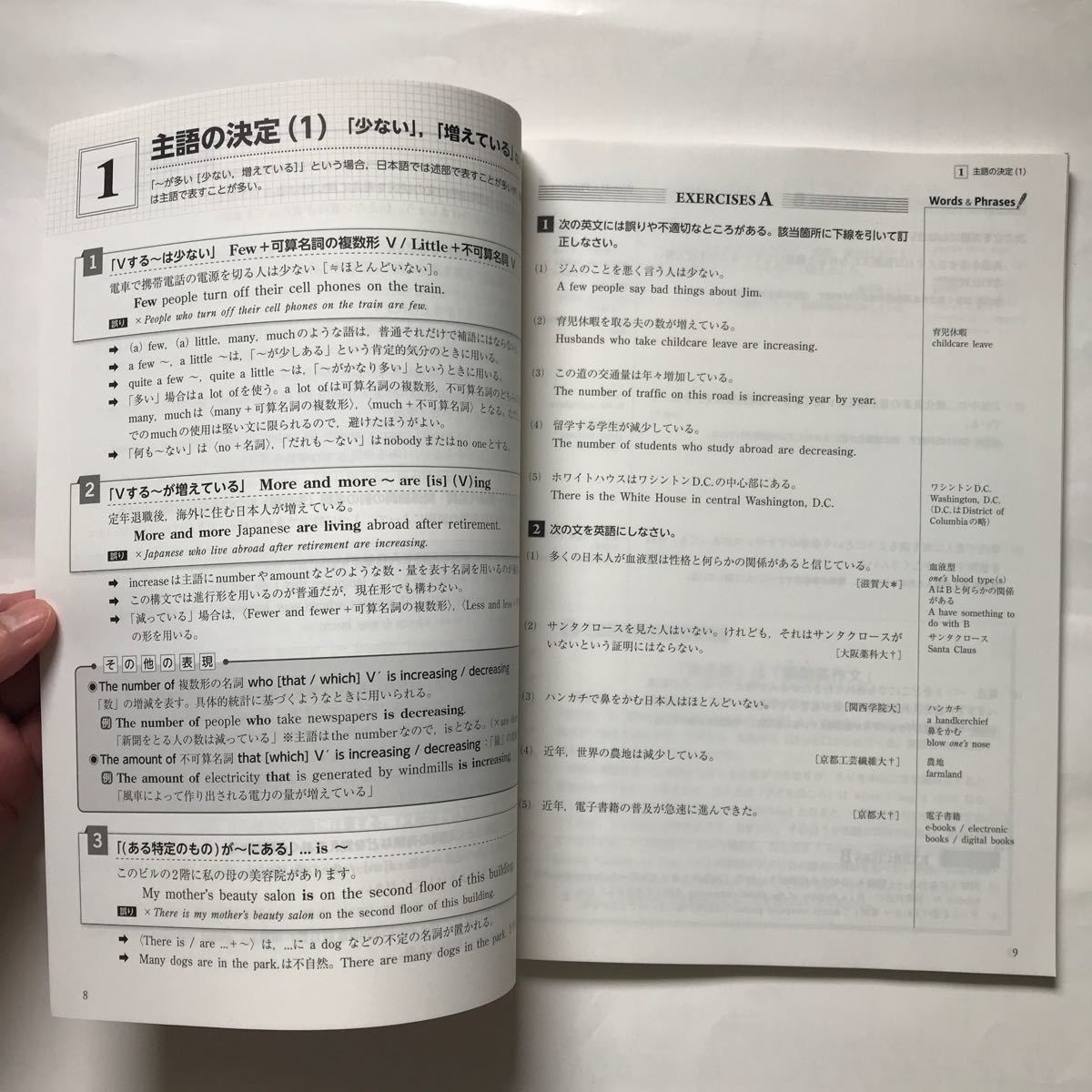 数研出版 入試 必携 英作文 英語 英文 大学 受験 テスト 難関大 数研出版 入試 必携 英作文 英語 英文 大学 受験 テスト 難関大