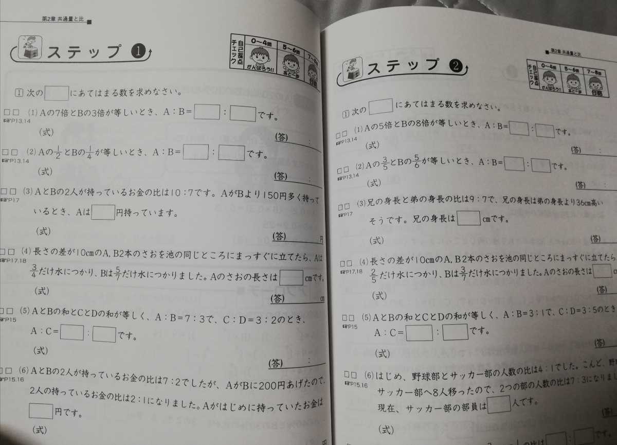 ★算数分野別問題集　ベイシック 「算数　基本60題　②　【比】」 SAPIX　サピックス　小学部★　～中学入試に！・書き込みほぼ無し～