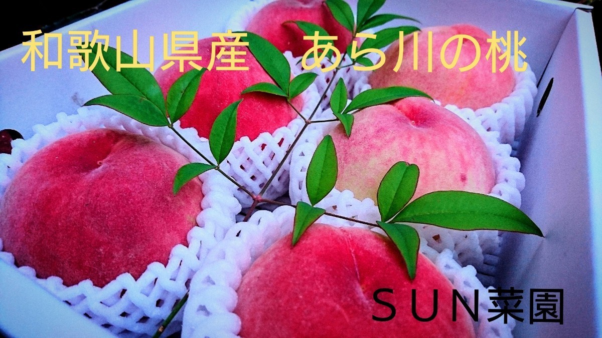 和歌山県産 あらかわの桃 健康 自粛 お中元に 美味 日川白鳳 １２玉以上