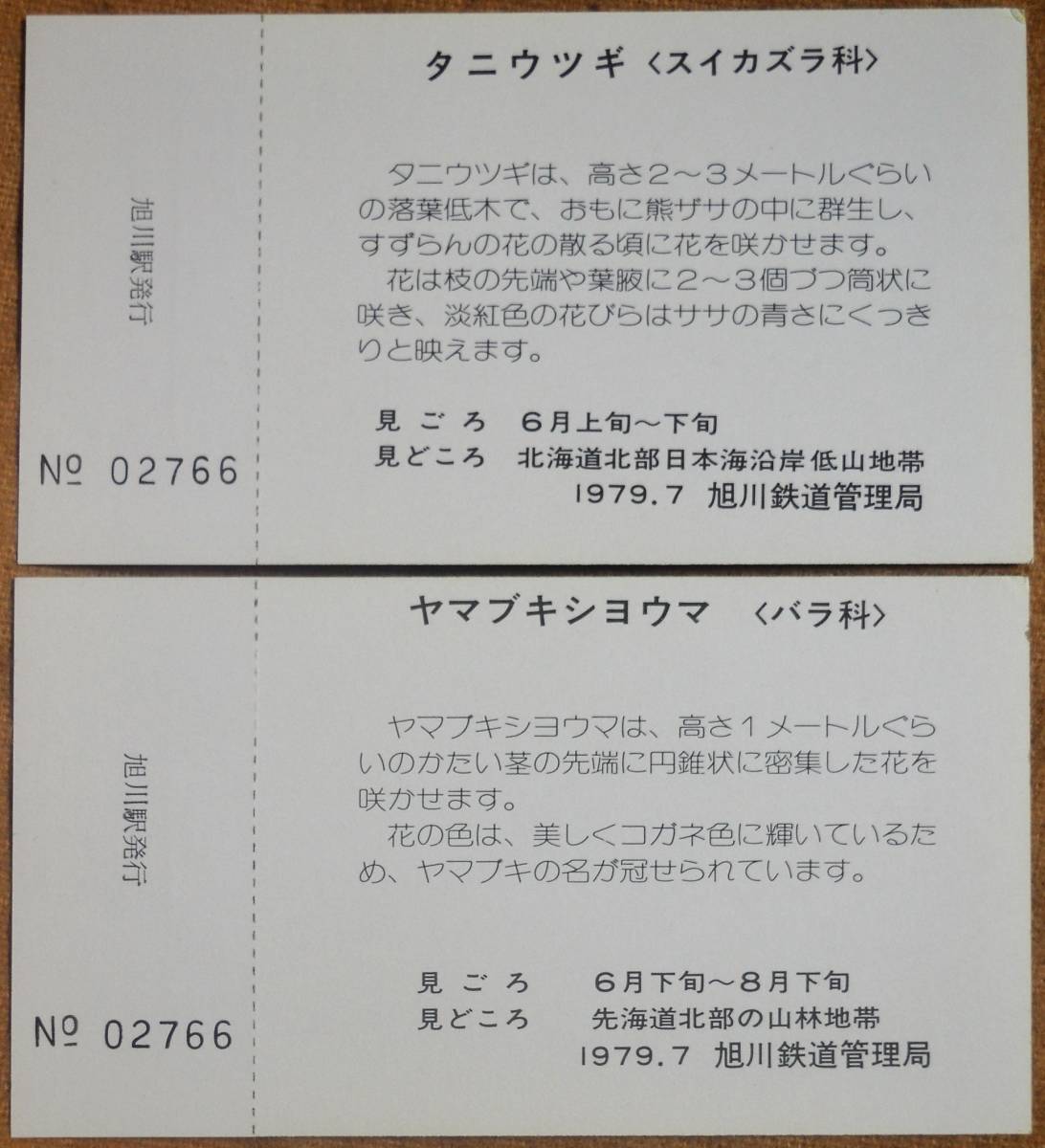 「さいはての花シリーズ④ 記念入場券」(旭川駅,5枚組)　1979,旭川鉄道管理局_画像8