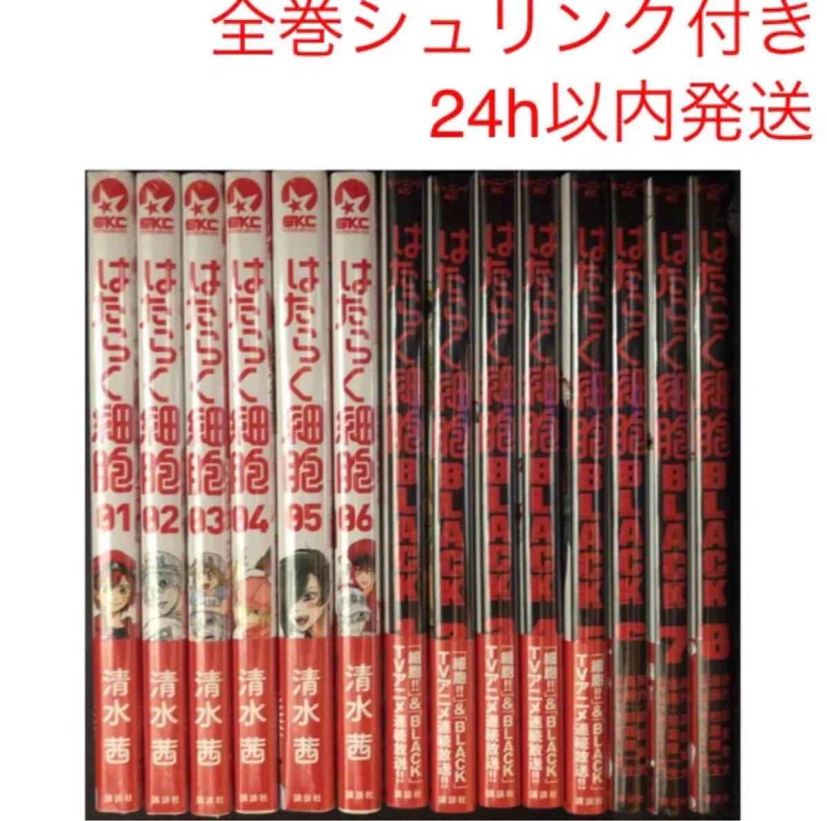 クリスマス特集 新品シュリンク付き はたらく細胞 1 6巻 はたらく細胞black 1 8巻 全巻セット Www Accellclinical Com クリスマス特集 新品シュリンク付き はたらく細胞 1 6巻 はたらく細胞black 1 8巻 全巻セット Www Accellclinical Com