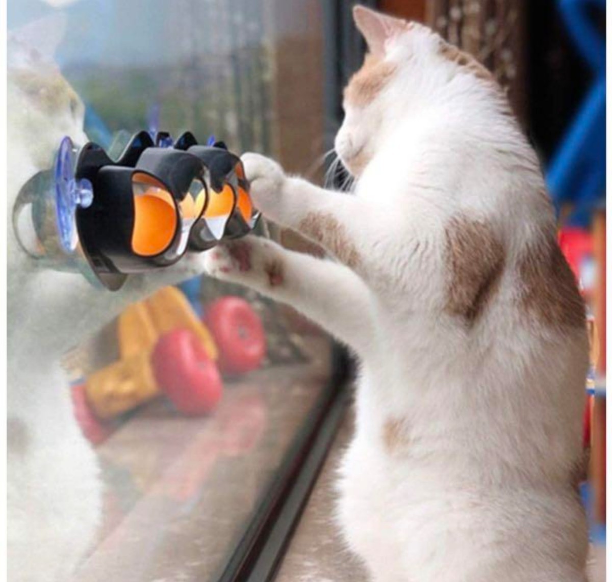 猫おもちゃ球遊び 猫ボール　ネコおもちゃ